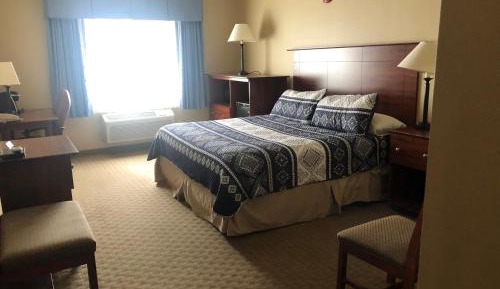 Single Room - Disability Access