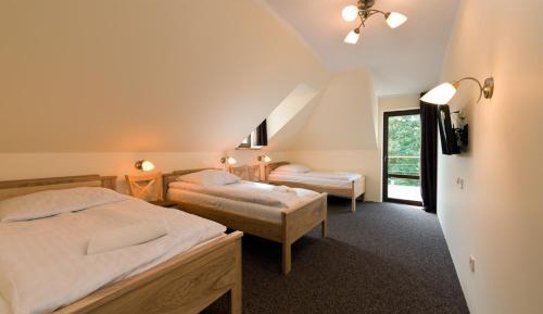 Comfort Triple Room