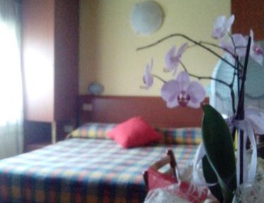Economy Quadruple Room