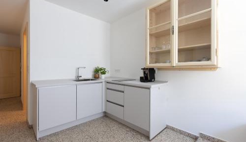 One-Bedroom Apartment with City View