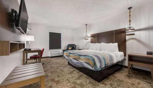 King Room with Roll-In Shower - Disability Access