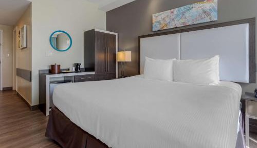 King Room with Roll-In Shower - Disability Access