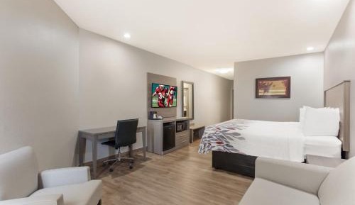 Suite King Room Non-Smoking