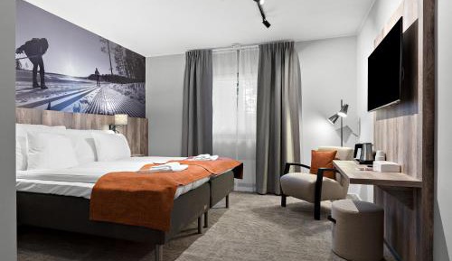 Deluxe Double or Twin Room - No Pets Allowed