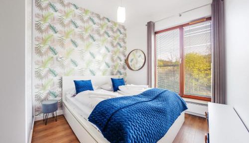 One-Bedroom Apartment - 8 Kiedronia Street
