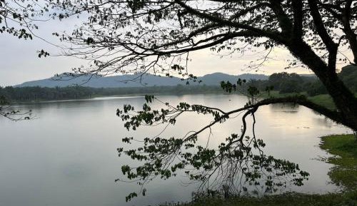 Double Room with Lake View