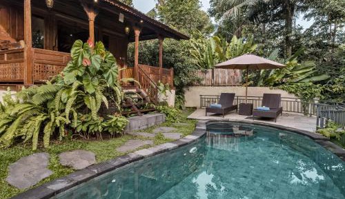 One-Bedroom Pool Villa with Jungle View