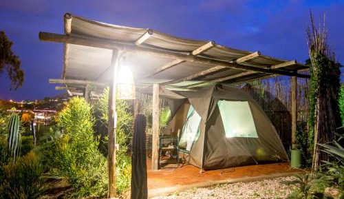 Tent