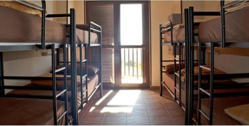 Mixed Dormitory Room