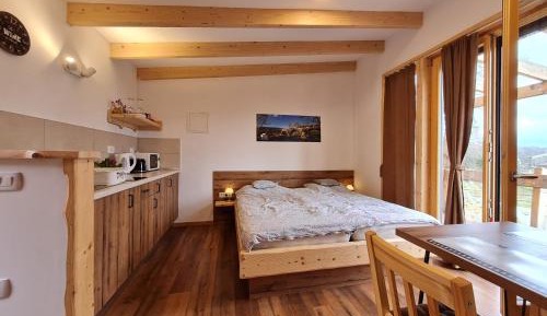 Deluxe Double Room with Sauna