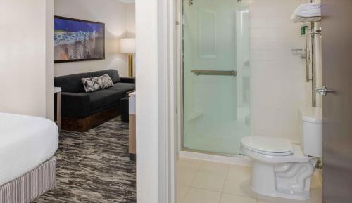 Executive King Suite with Sofa Bed