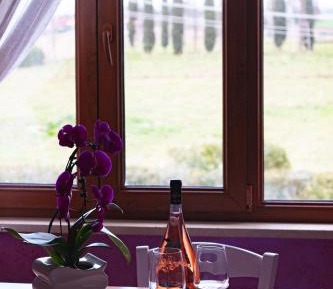 Apartment with Garden View