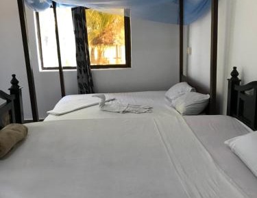 Double or Twin Room with View