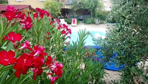 Studio with Pool View