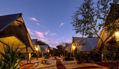 Delight Tent