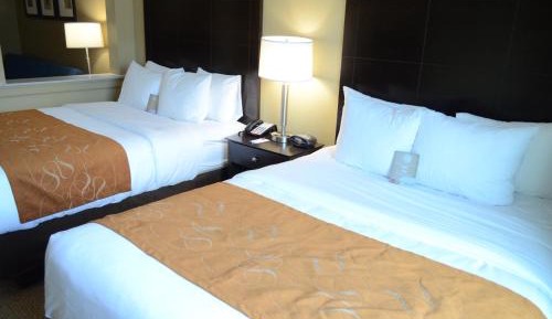 Queen Suite with Two Queen Beds