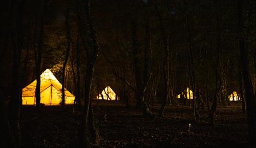 Tent