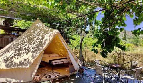 Tent