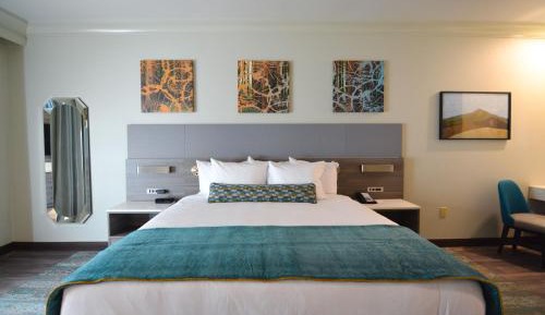 King Room