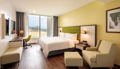 Standard King Room