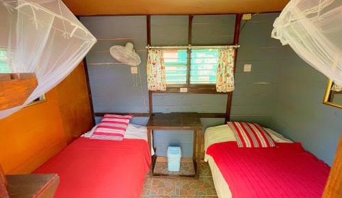 Budget Twin Room