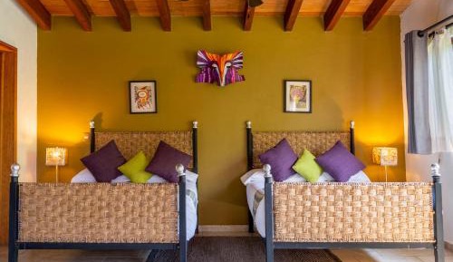 Comfort Suite