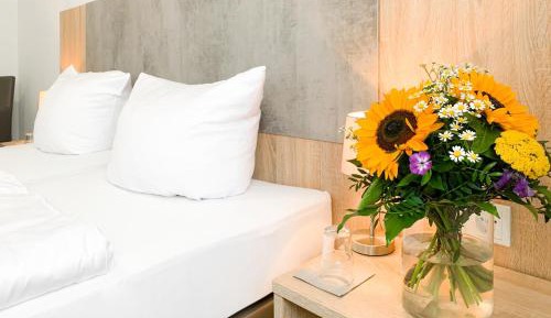  Family Suite PLUS