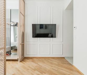 Deluxe Apartment #22