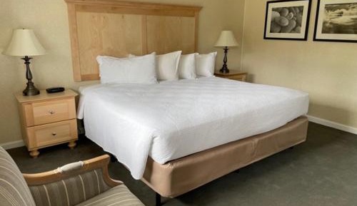 Motel Room 1