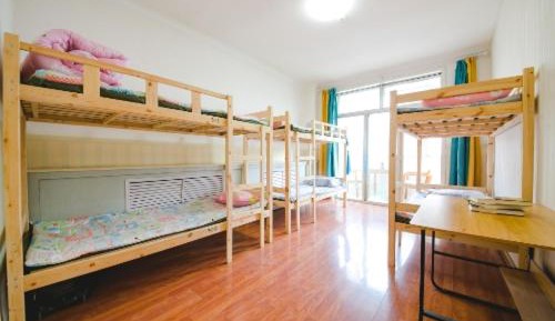 Bed in 6-Bed Dormitory Room