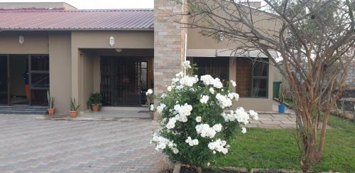 Duplex Apartment