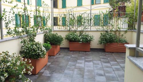 Two-Bedroom Apartment with Terrace