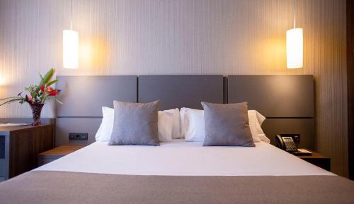 Junior Suite with Garden View
