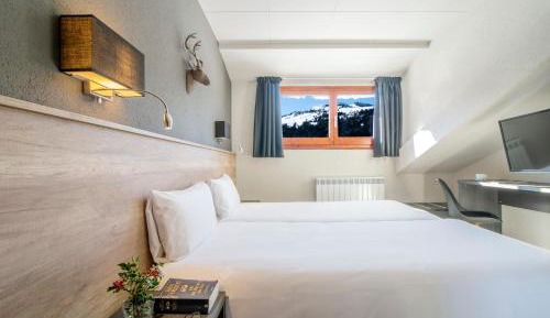 Double Room with Mountain View