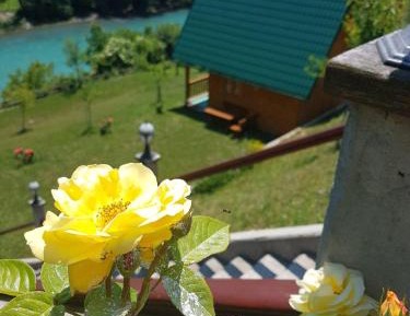 Bungalow - Water Front 