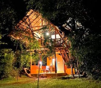 Family Tree House