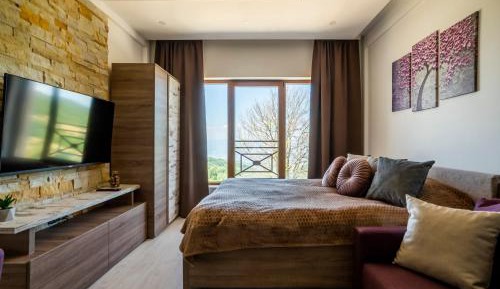 Studio with Mountain View