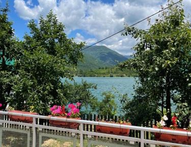 Apartment with Lake View