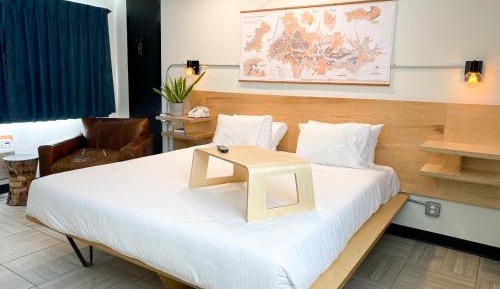 Standard King Room - Pet Friendly