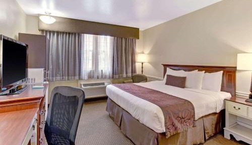 King Room - Pet Friendly/Non-Smoking