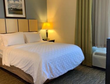 Queen Studio Suite - Hearing Accessible
