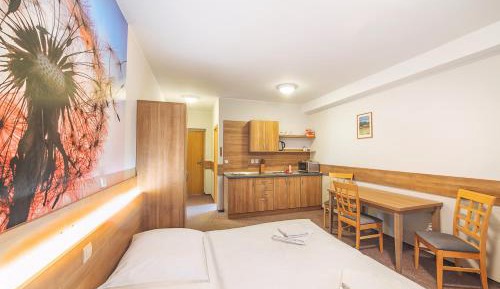 Studio (3 Adults)