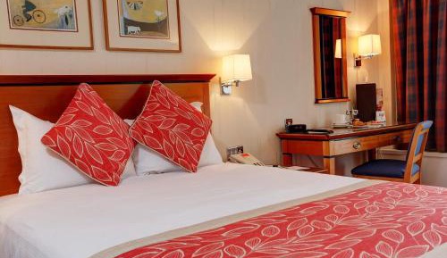 Standard Double Room with Double Bed - Non-Smoking