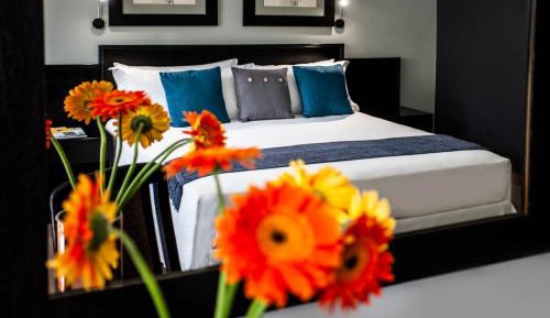 AVANI Suite