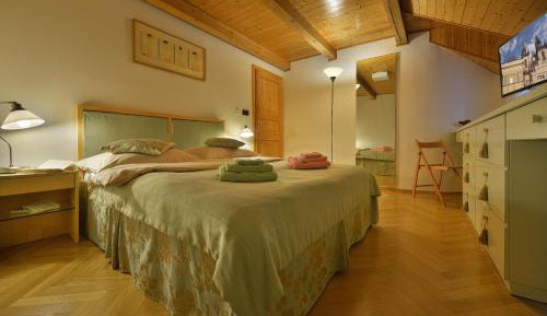 Duplex One-Bedroom Apartment with Shower (4 Adults)