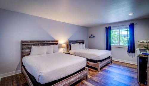 Superior Two Queen Beds (modern & remodeled)