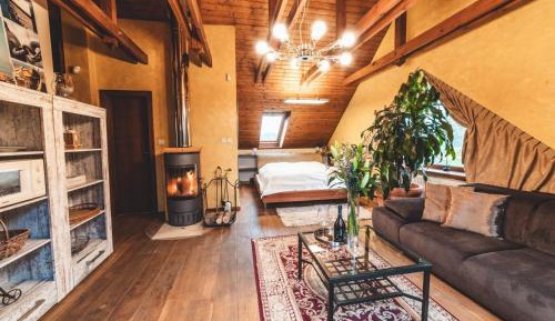 Deluxe Apartment
