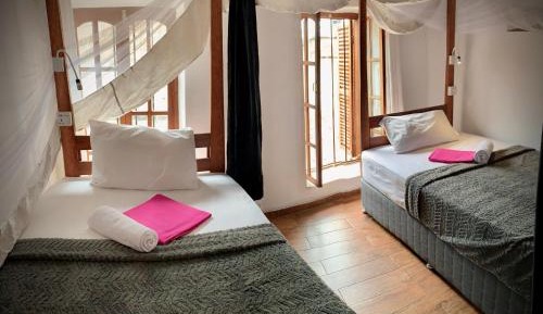 Bed in 4-Bed Mixed Dormitory Room