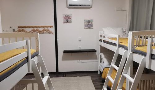 6-Bed Mixed Dormitory Room
