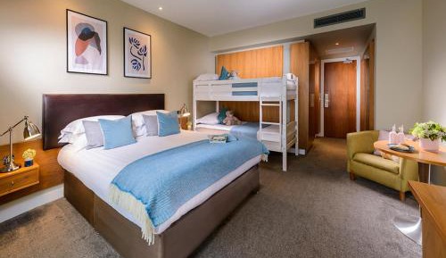 Bunk Bed Family Room (2 adults + 2 children)